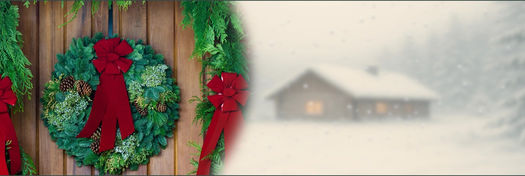 Christmas Forest Welcome Image